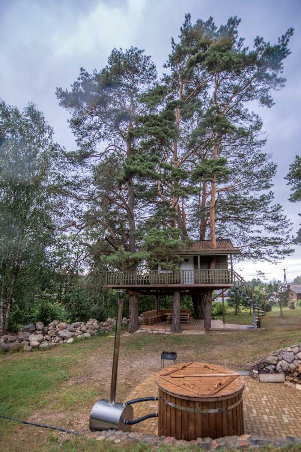 Sodyba Namelis Medyje Anyksciuose Anykščiai Exterior foto